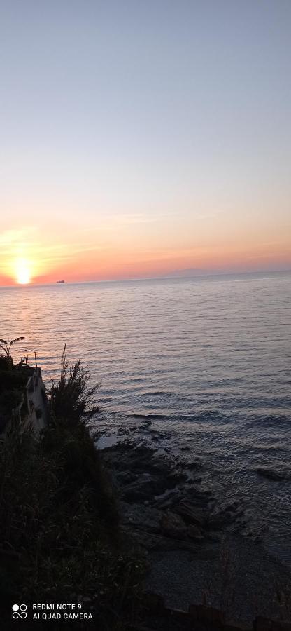 Studio Bord De Mer A Bastia San-Martino-di-Lota 外观 照片